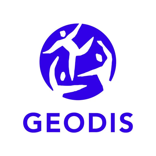 Livraison Geodis